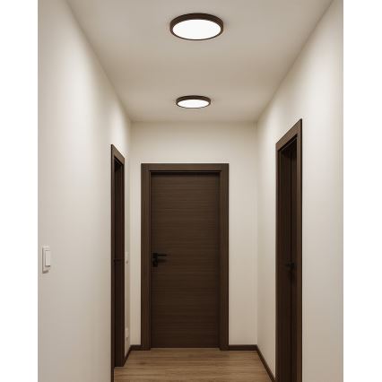 LED Stropní svítidlo LED/18W/230V 3000/4000/6500K pr. 23 cm hnědá